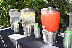 LOVE IN BLOOM AT WISTERIA HALL